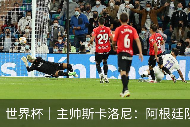 世界杯｜主帅斯卡洛尼：阿根廷队不自大也不自卑