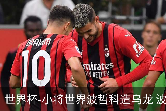 世界杯-小将世界波哲科造乌龙 波黑半场暂2-1卡塔尔