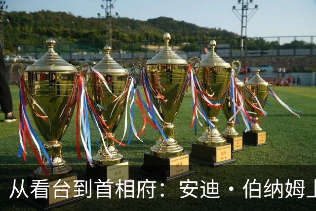 从看台到首相府：安迪·伯纳姆上任，他让埃弗顿球迷成了“国家级”身份