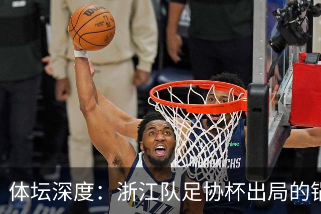 体坛深度：浙江队足协杯出局的锅 该不该由国家队来背