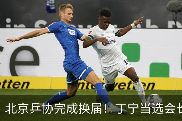 北京乒协完成换届！丁宁当选会长 刘国正等人当选副会长