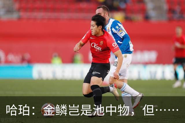 哈珀：金鳞岂是池中物，但……