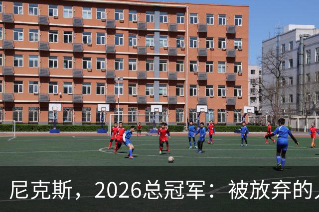 尼克斯，2026总冠军：被放弃的人们终会崛起